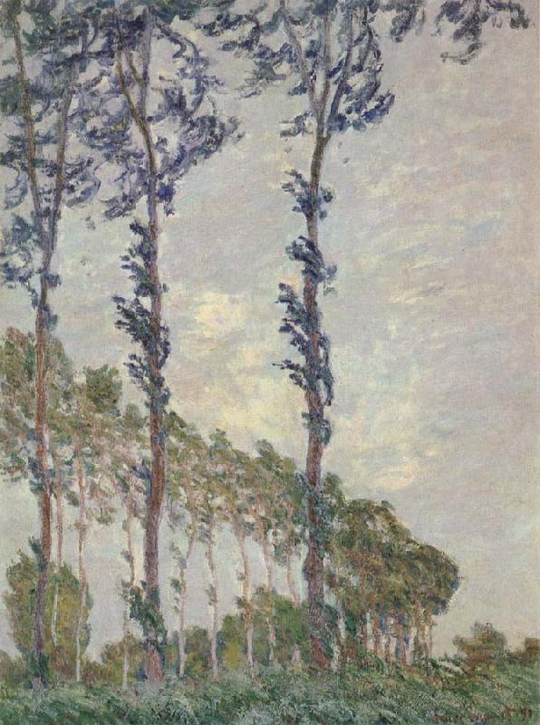 Claude Monet WInd Effect,Sequence of Poplars Norge oil painting art